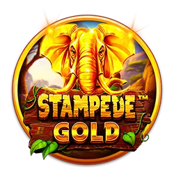 gxg casino how to play bet